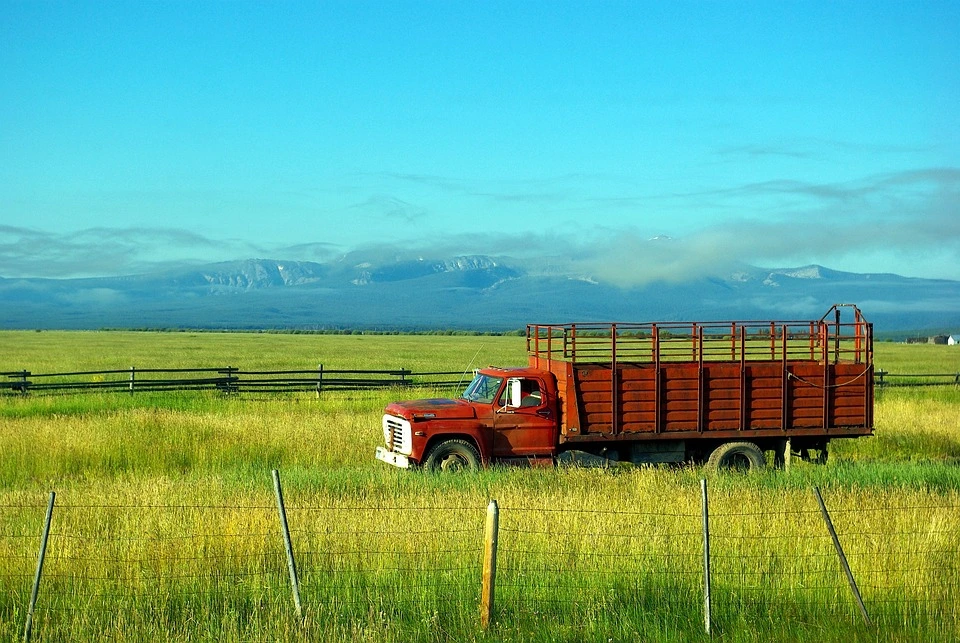 What are the Causes of Grain Truck Accidents?